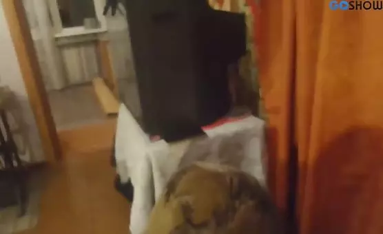 Sweet Lady Teases with RockHard Nipples